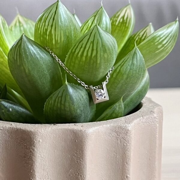 pendentif cube or gris diamant de laboratoire 3mm sur plante | 26 Passage, Créatrice de bijoux à Paris pendentif cube or gris diamant de laboratoire 3mm collection les pierres diamant de laboratoire
